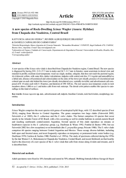 A new species of Rock-Dwelling Scinax Wagler