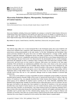 Preview - Magnolia Press