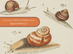 Catalogue in pdf - Asher Rare Books