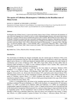 Preview - Magnolia Press