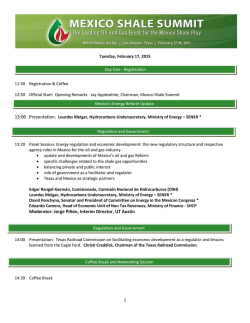 Moderator: Jorge Pi&ntilde;&oacute;n, Interim Director, UT Austin