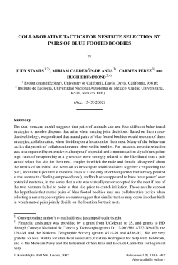 collaborative tactics for nestsite selection by pairs of