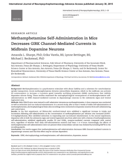 Methamphetamine Self-Administration in Mice Decreases GIRK