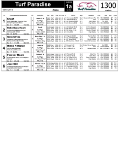 2 - AmericanRace.net