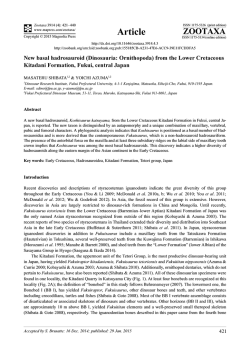 Preview - Magnolia Press