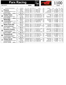 4 - AmericanRace.net