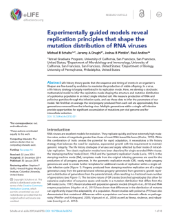 Experimentally guided models reveal replication principles