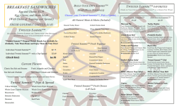 Tri Fold Draft Concept 7