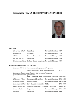 Curriculum Vitae of FRIEDEMANN PULVERM&Uuml;LLER