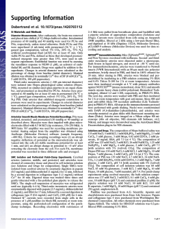 Download Supporting Information (PDF)