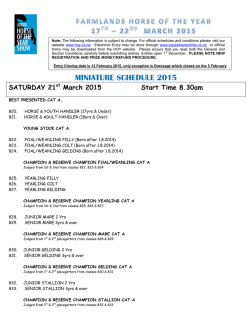 13. Miniatures Section Schedule