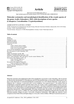 Preview - Magnolia Press