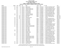 state of illinois twelfth judicial circuit court will county, illinois pamela