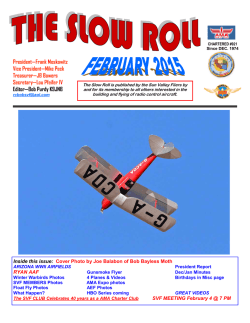 February - Sun Valley Fliers