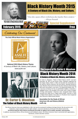 Newspaper - African American Voice