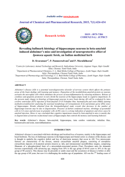Revealing hallmark histology of hippocampus neurons in beta