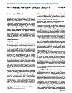 Aversion and Attraction through Olfaction
