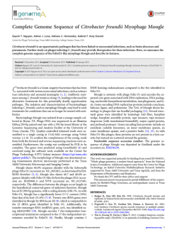 Complete Genome Sequence of Citrobacter freundii Myophage