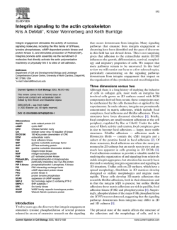 Integrin signaling to the actin cytoskeleton
