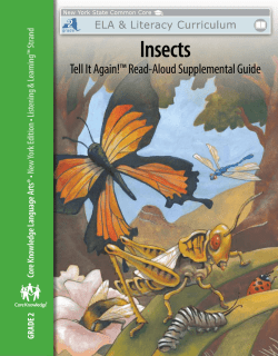 Insects - EngageNY
