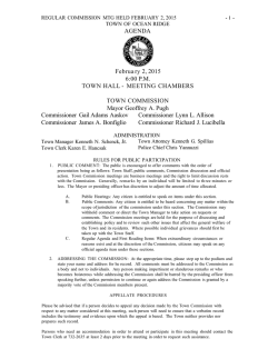Regular Town Commission Meeting