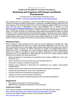 Rendering and Cognition with Images and Hybrid Visualizations