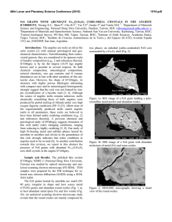 FeS Grains with Abundant Fe