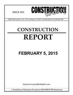 PAGES IN RPT 08-6-01 - Good Faith Effort Advertising