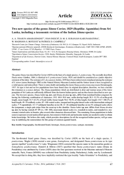 Preview - Magnolia Press