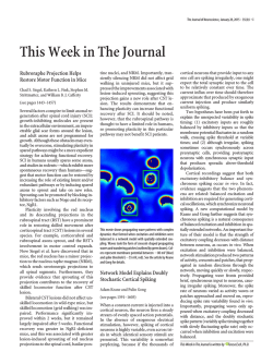 Abstract Browser (PDF) - The Journal of Neuroscience