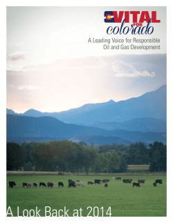A Look Back at 2014 - Vital For Colorado