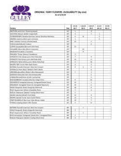 ORIGINAL FAIRY FLOWERS AVAILABILITY (by size)