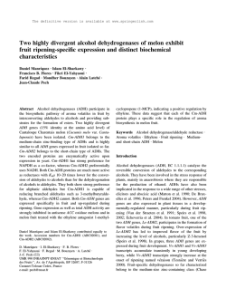 Two highly divergent alcohol dehydrogenases of melon