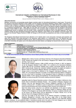 International Litigation and Mediation for International Businesses in