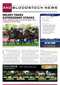 Read more - ANZ Bloodstock News