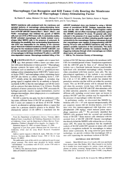 Macrophages Can Recognize and Kill Tumor Cells Bearing