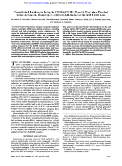 Transfected Leukocyte Integrin CDll b/CD18 (Mac-1
