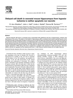 Delayed cell death in neonatal mouse