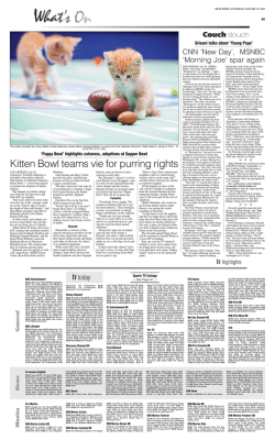 Kitten Bowl teams vie for purring rights