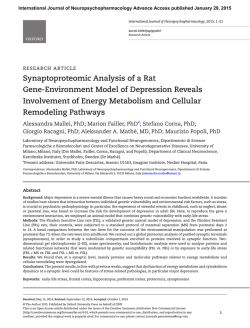 Synaptoproteomic Analysis of a Rat Gene