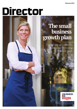 The small business growth plan