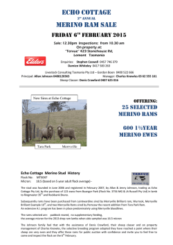 ECHO COTTAGE MERINO RAM SALE