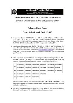 Balance Final Panel Date of the Panel: 30.01.2015