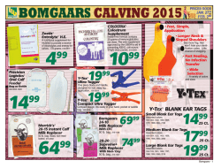 Y&bull;TEX &reg; BLANK EAR TAGS