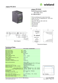 81.000.6160.0_ 100626 _wipos_P3_24