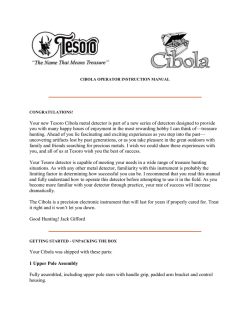 Tesoro Cibola metal detector