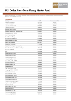 U.S. Dollar Short-Term Money Market Fund