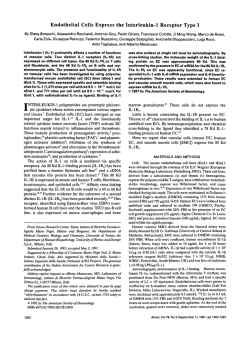 Endothelial Cells Express the Interleukin-1 Receptor Type I