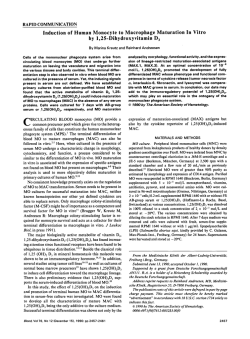 Induction of Human Monocyte to Macrophage Maturation In