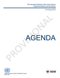 18th International Meeting of Mine Action National